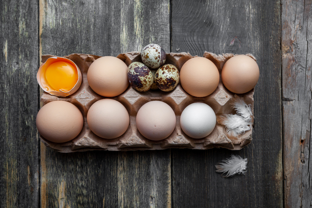 Why Trendy Eggs is the Most Trusted Egg Supplier in Singapore